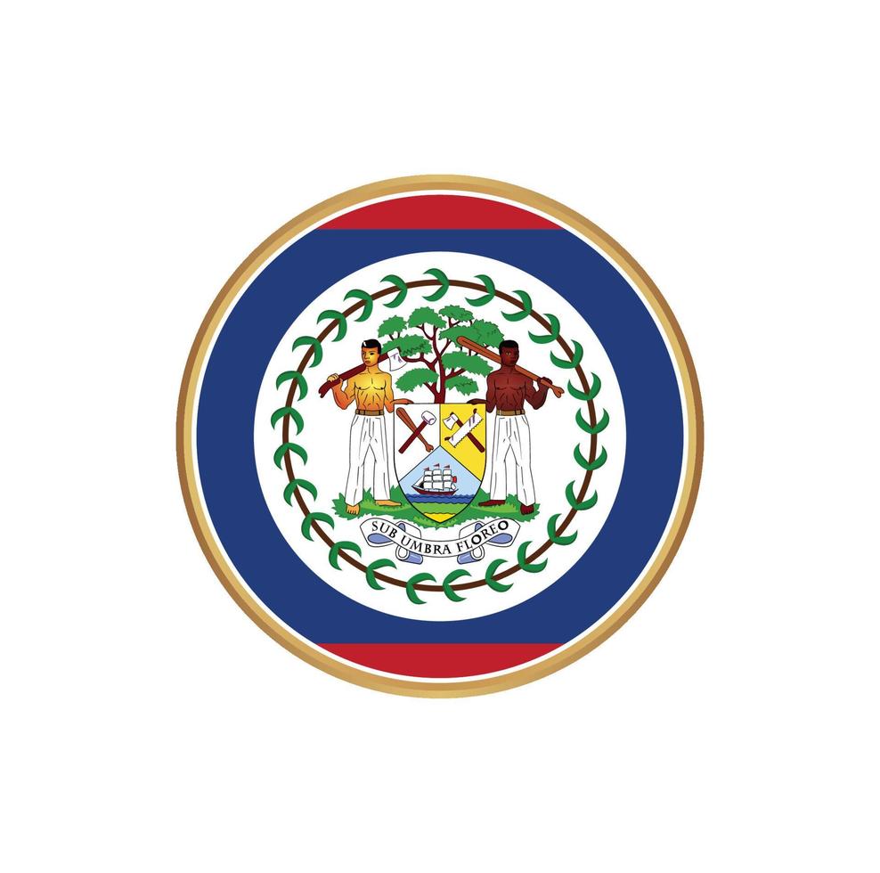 Belize flag with golden frame vector