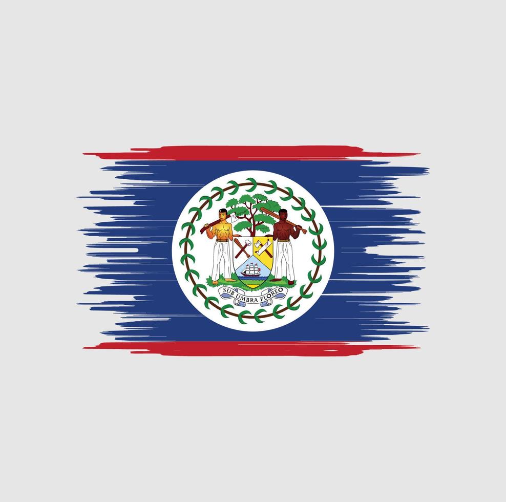 Belize flag brush stroke. National flag vector