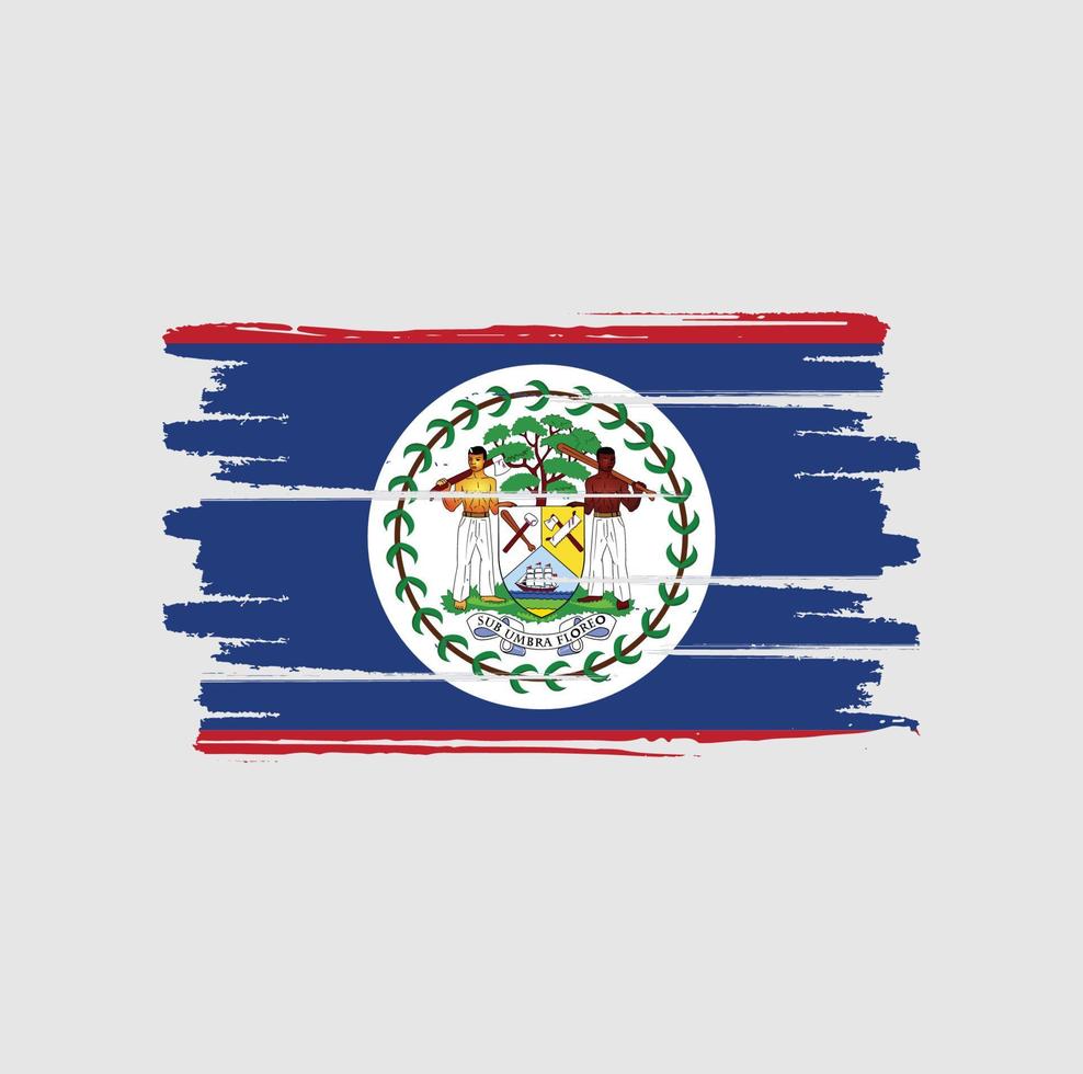 Belize flag brush strokes vector