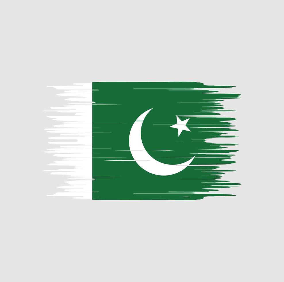 trazo de pincel de bandera de pakistán. bandera nacional vector