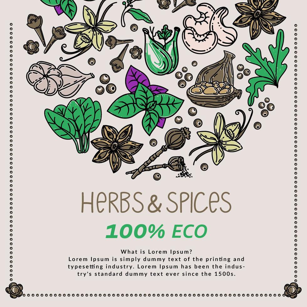 Herbs and spices, hand drawn vector illustrations. Hand drawn food sketch. Aromatic plants. Packaging design. Sketch style. Silhouette design of spices and herbs.