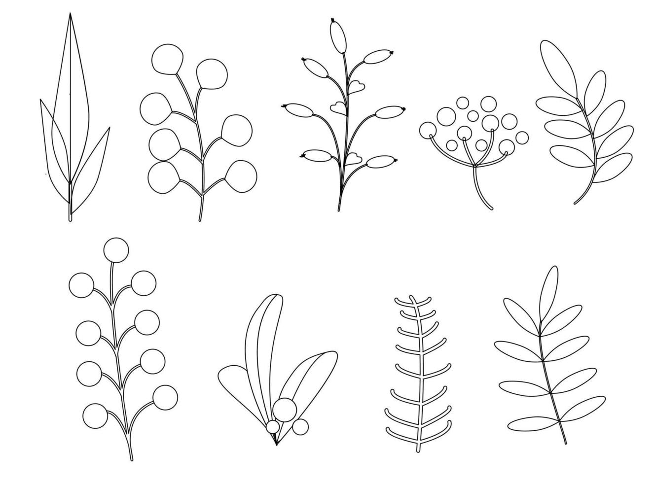 Set of line art with twigs vector
