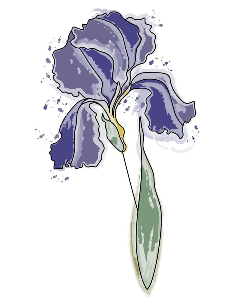 ilustración, flor de iris de acuarela azul dibujada, contorno negro con  manchas de acuarela. arte de pared, tarjeta de felicitación, impresión  5947855 Vector en Vecteezy