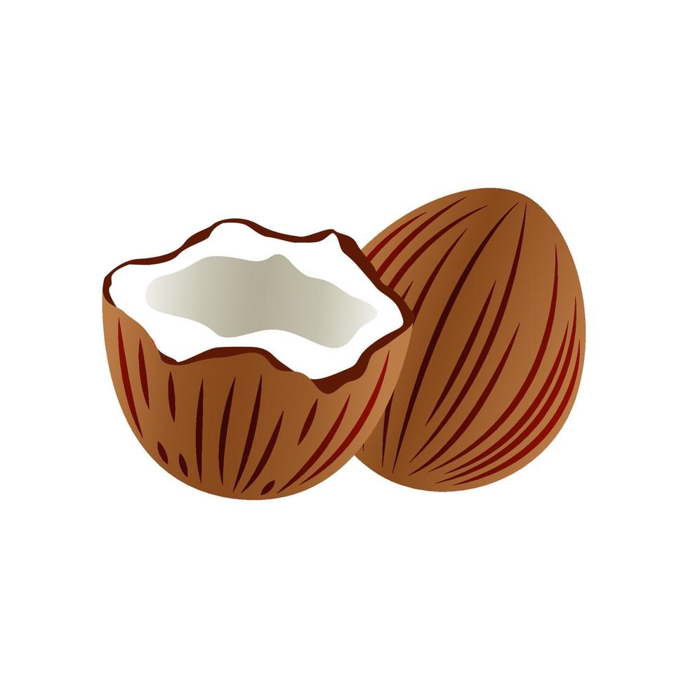 imágenes prediseñadas de cáscara de coco con diseño de dibujos animados vector