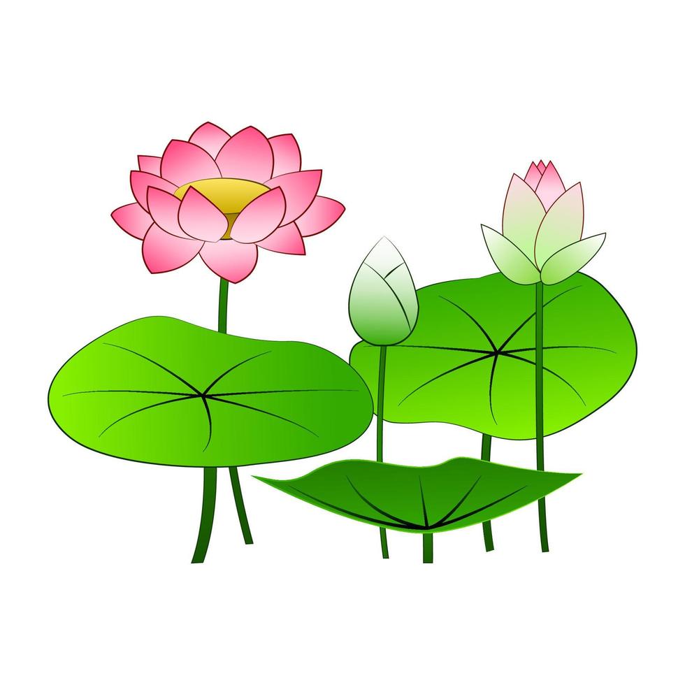 clip art of lotus with cartoon design vector