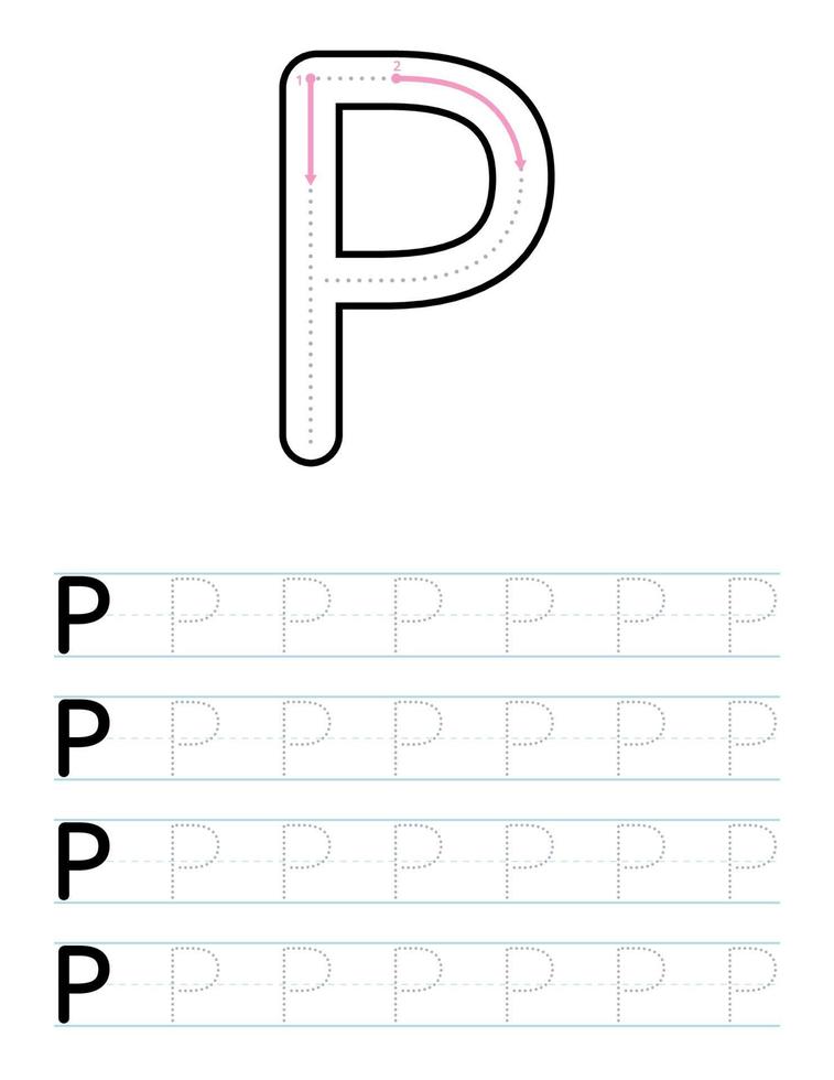 Tracing uppercase letter p worksheet for kids vector