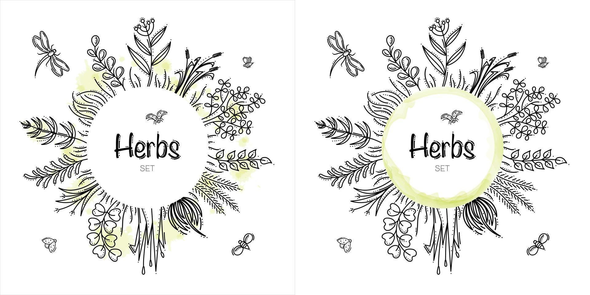 Hand Drawn Herbs Frame With Bees, Ladybirds and Dragonfly vector