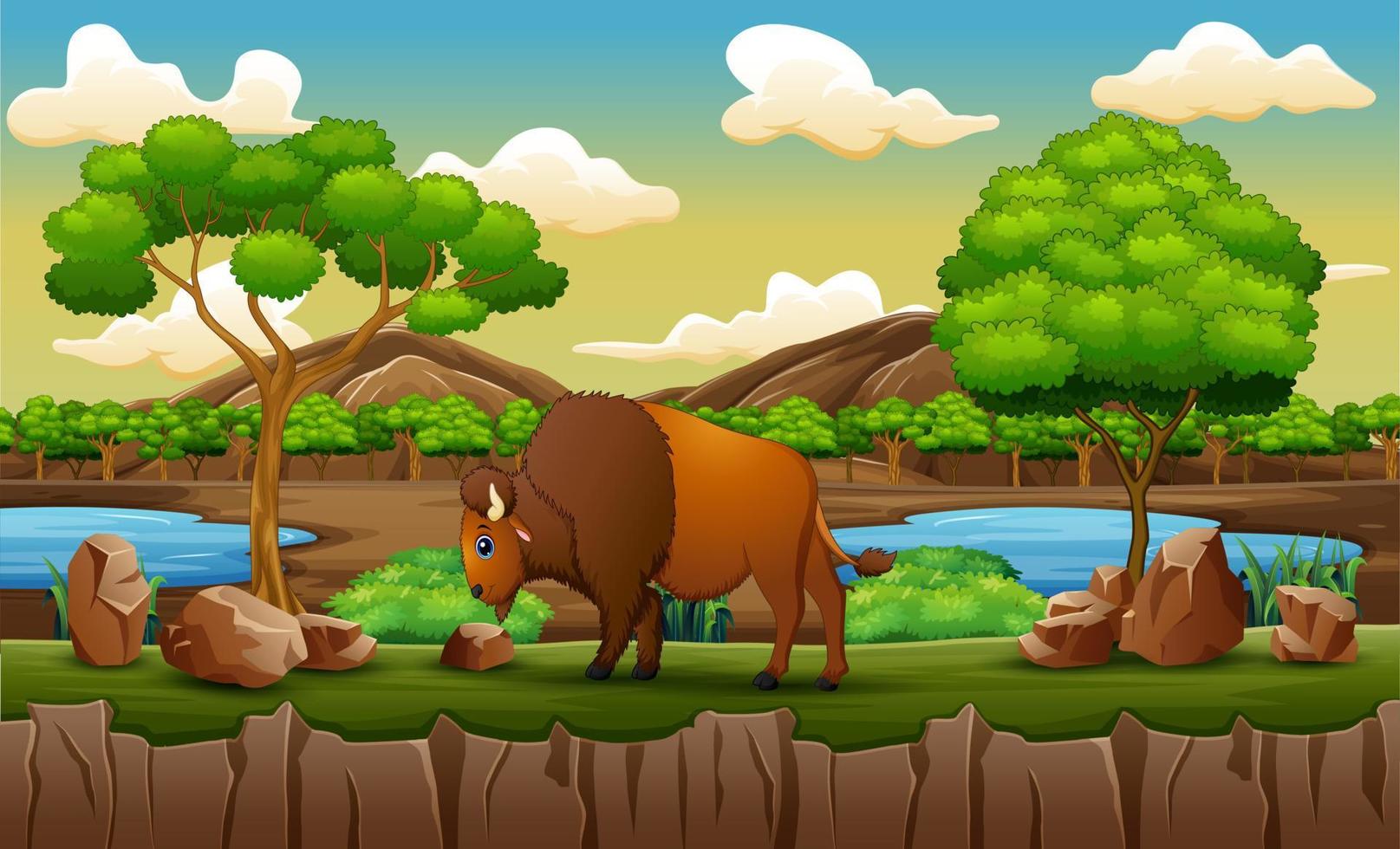 Nature scene with buffalo in the zoo open park vector