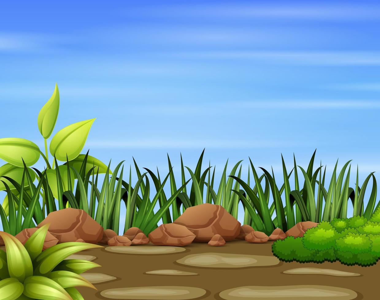 Green grass border on the nature vector