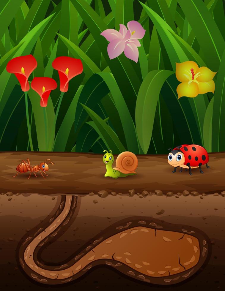 Cartoon illustration of insects in the ground vector