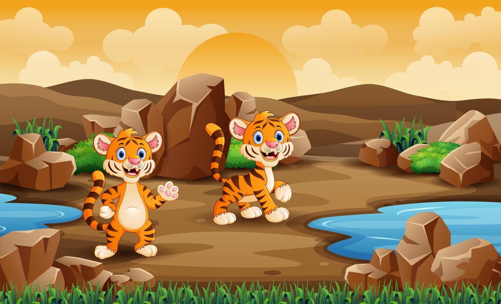 Two baby tigers in the desert vector