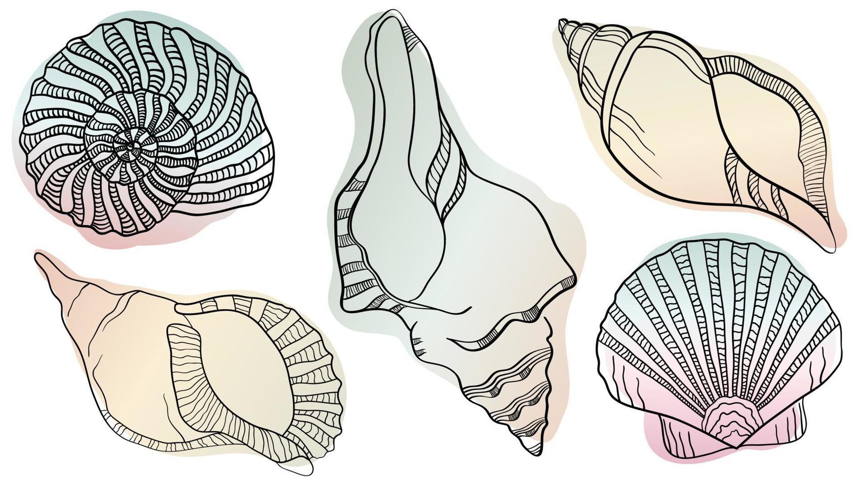 Vector illustration in sketch style. Hand drawn in  black engraving. Sea shells Marine set. Outline illustration collection. Isolated shell silhouette set.