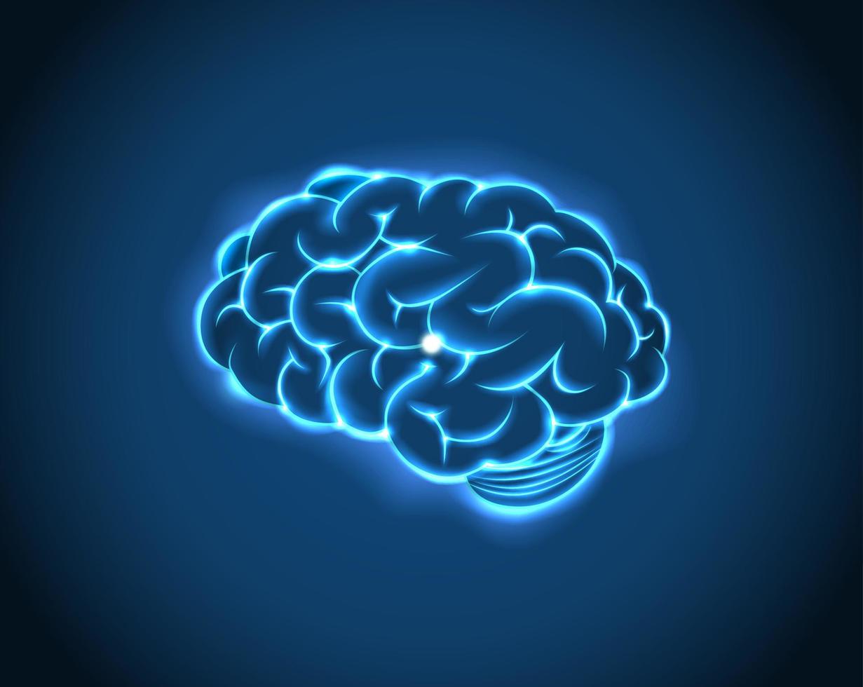 Brain Concept of  blue background. vector