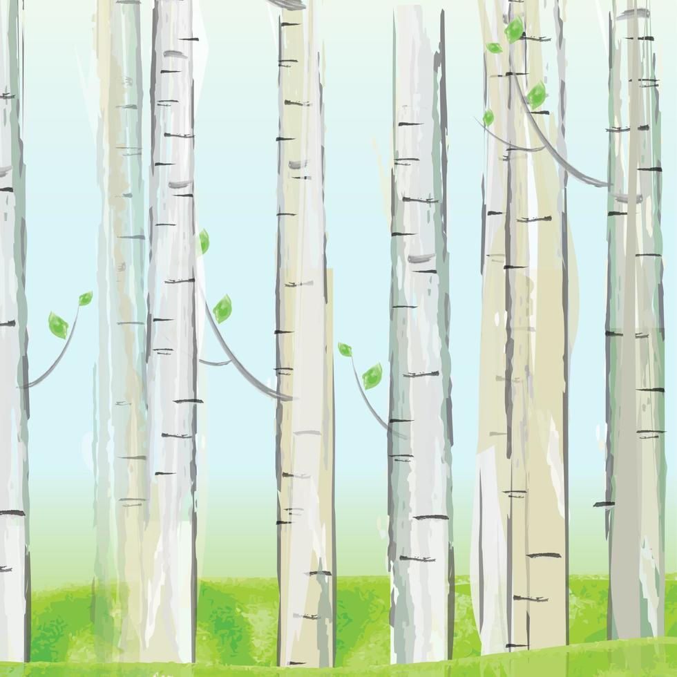 Forest illustration and birds vector
