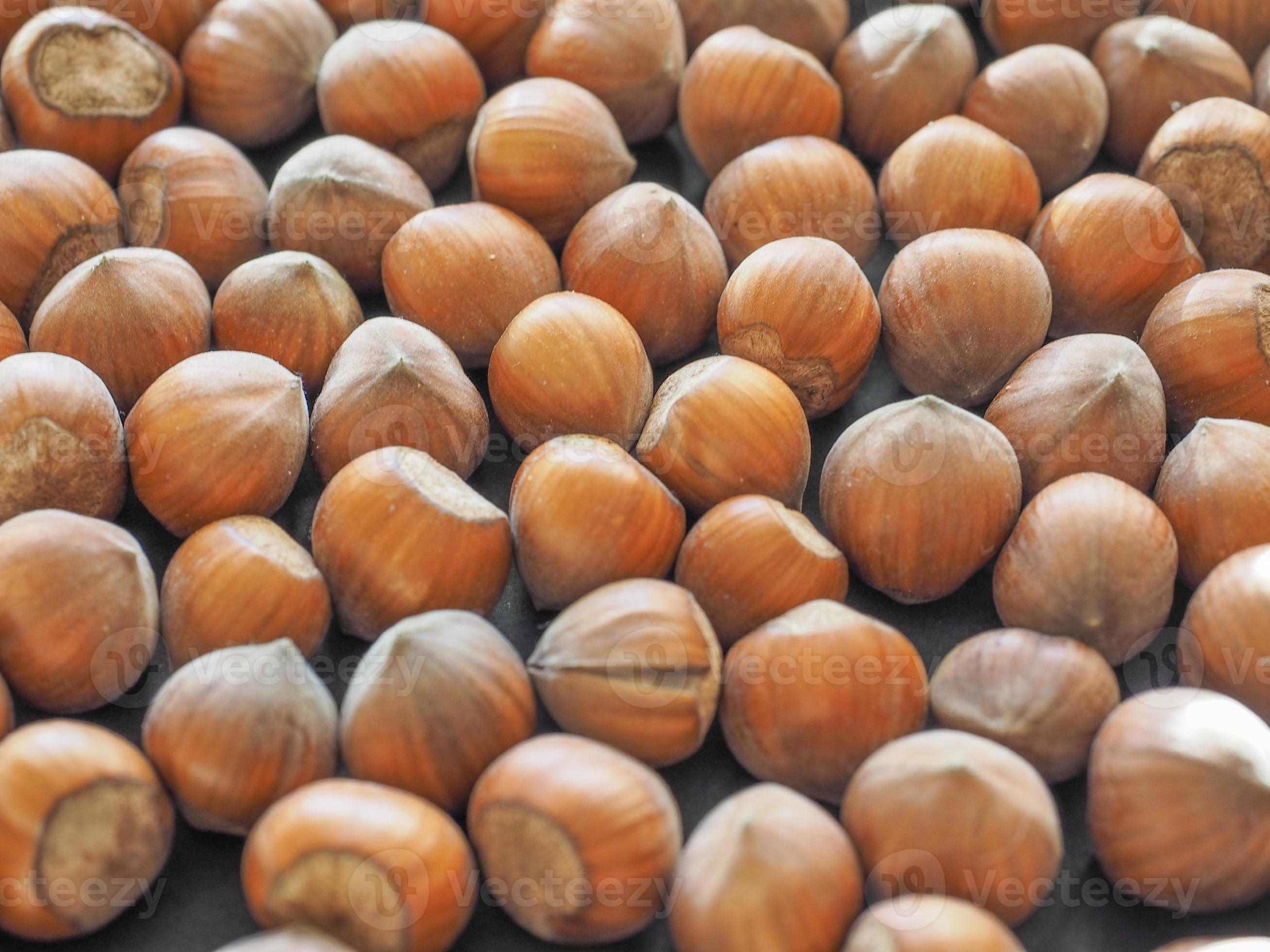 Filbert nut on sale