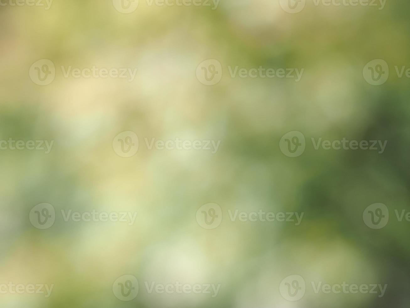 abstract green blur background photo