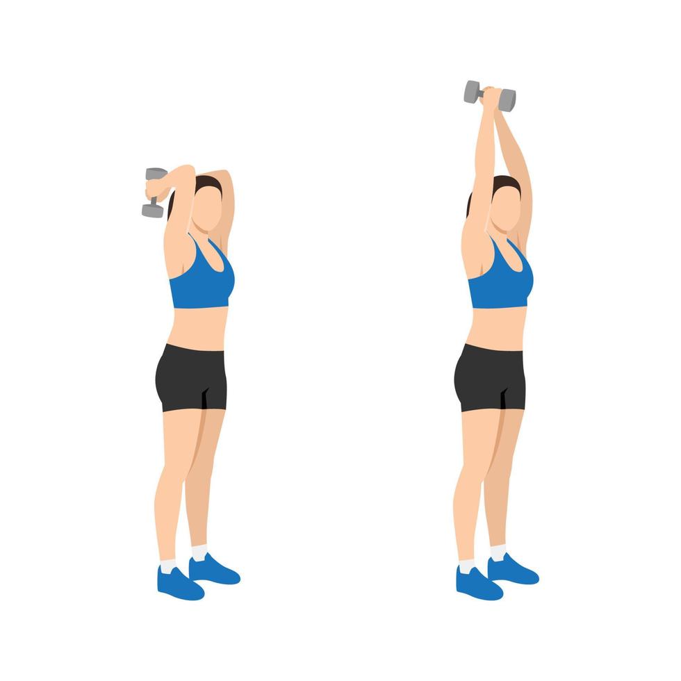 Woman doing Dumbbell triceps extension exercise. Flat vector illustration isolated on white background