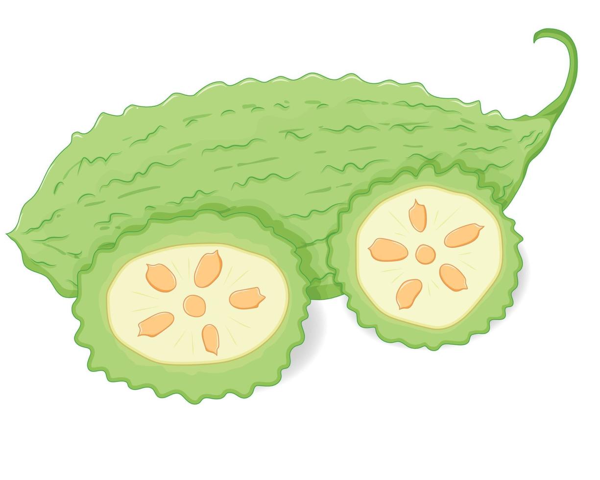 Bitter Goard vegetable with sliced pices vector