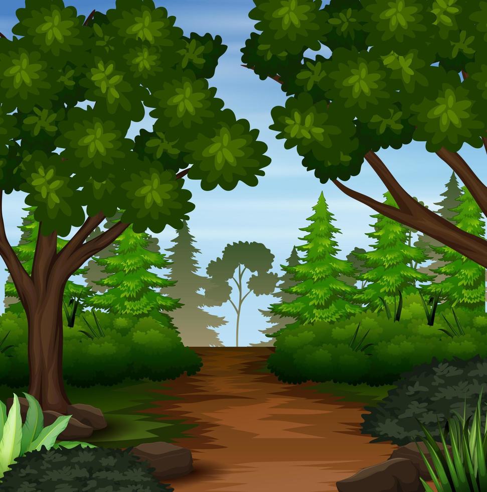 ilustración de la escena del bosque con sendero de tierra vector