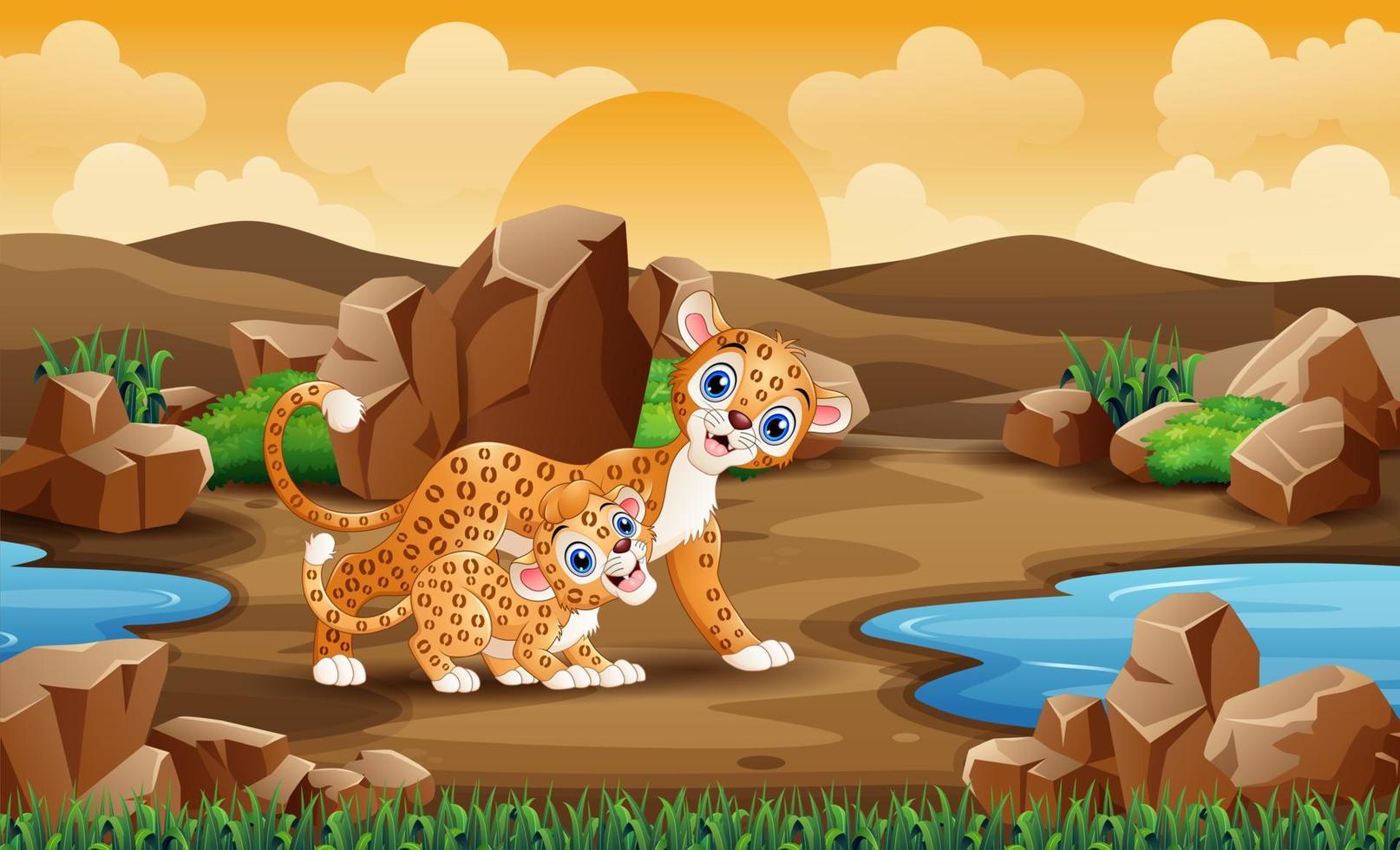 Mother leopard and cub leopard in desert field vector