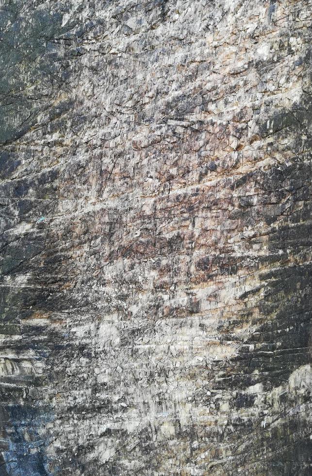 Texture of an old scratched gray wooden board. vertical background photo