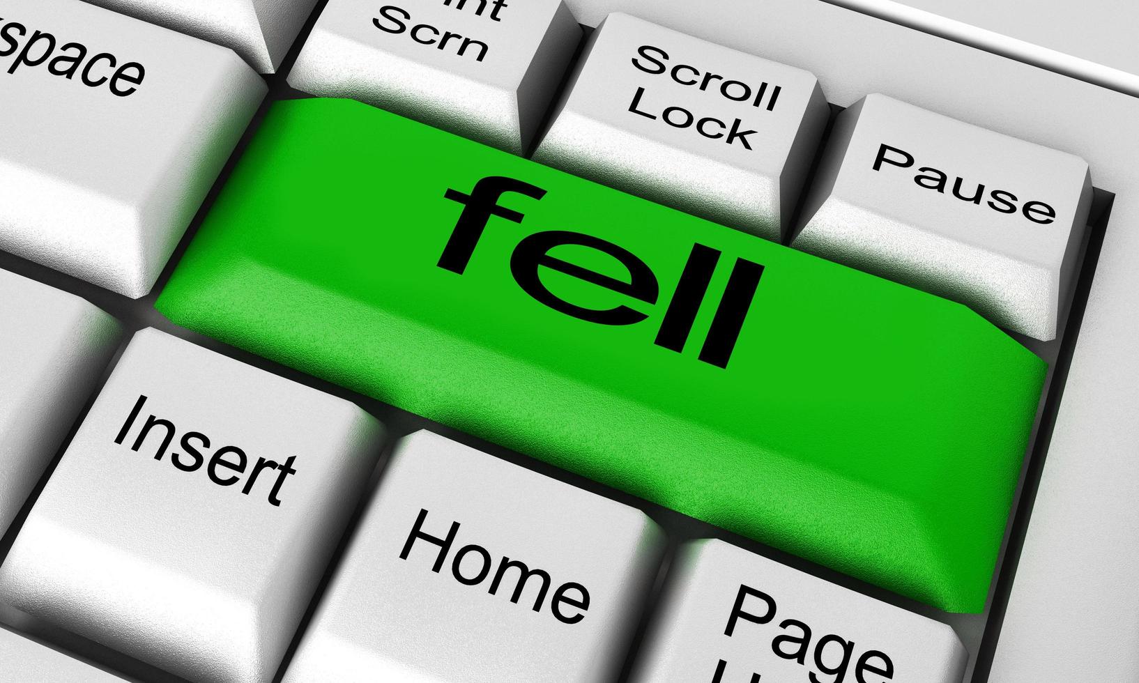 fell word on keyboard button photo