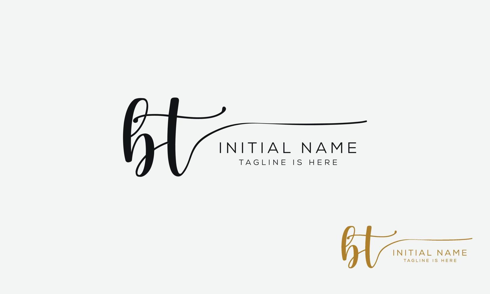 BT T B initial signature logo template. vector
