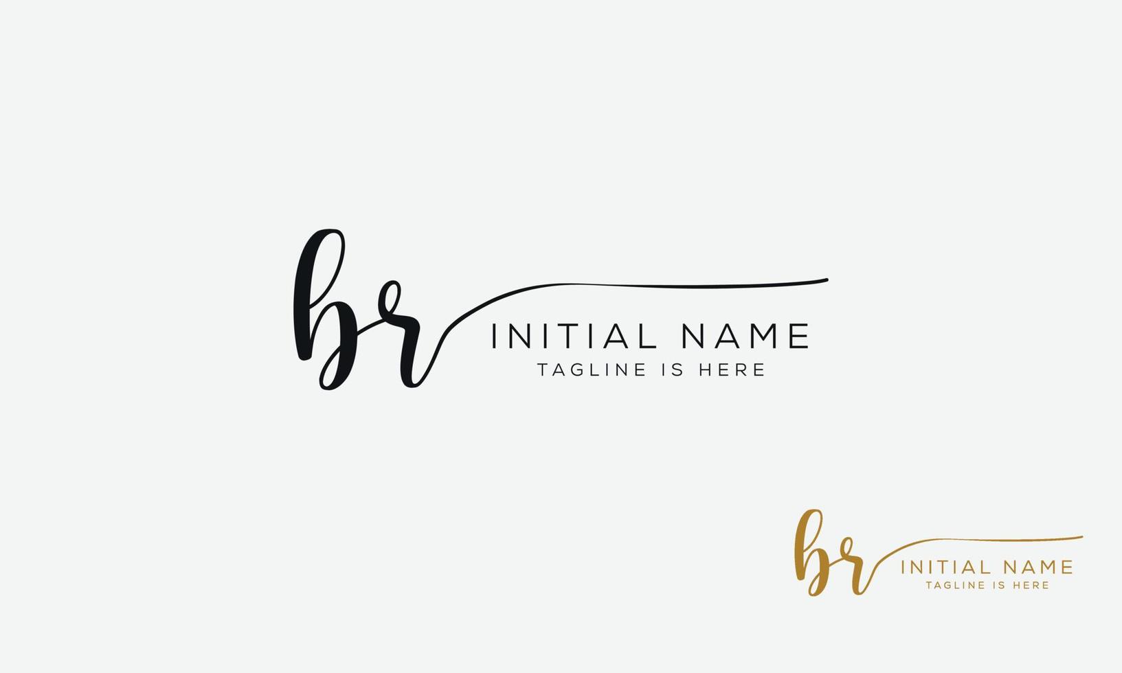 BR R B initial signature logo template. vector