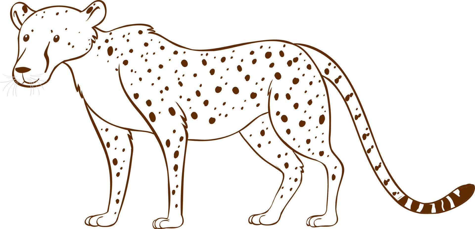 Leopard in doodle simple style on white background vector