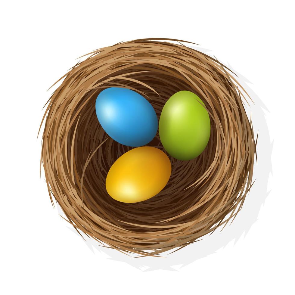 Easter eggs on wild bird nest from straw and twigs vector