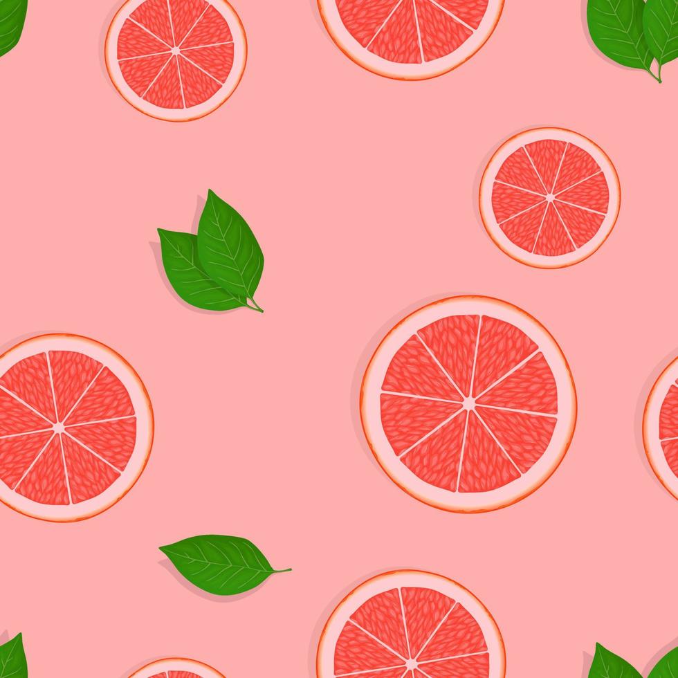 Seamless pattern of citrus fruit slices of grapefruit isolated on rose background vector