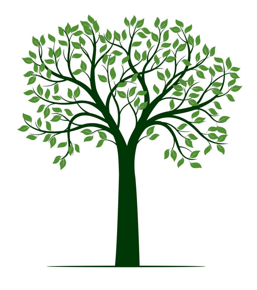 árbol de vector verde.