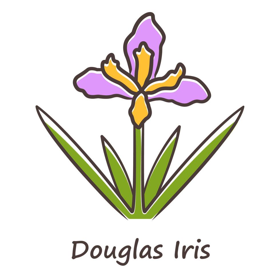 Douglas iris plant purple color icon. California blooming wildflower with name inscription. Garden flower, weed. Iris douglasiana inflorescence. Spring blossom. Isolated vector illustration