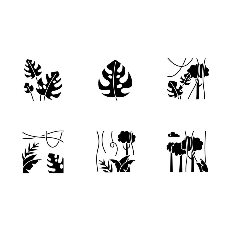 Rainforest plants glyph icons set. Evergreen forest vines. Swiss cheese plant. Trip to Indonesian jungle. Discovering Bali nature. Tropical flora. Silhouette symbols. Vector isolated illustration