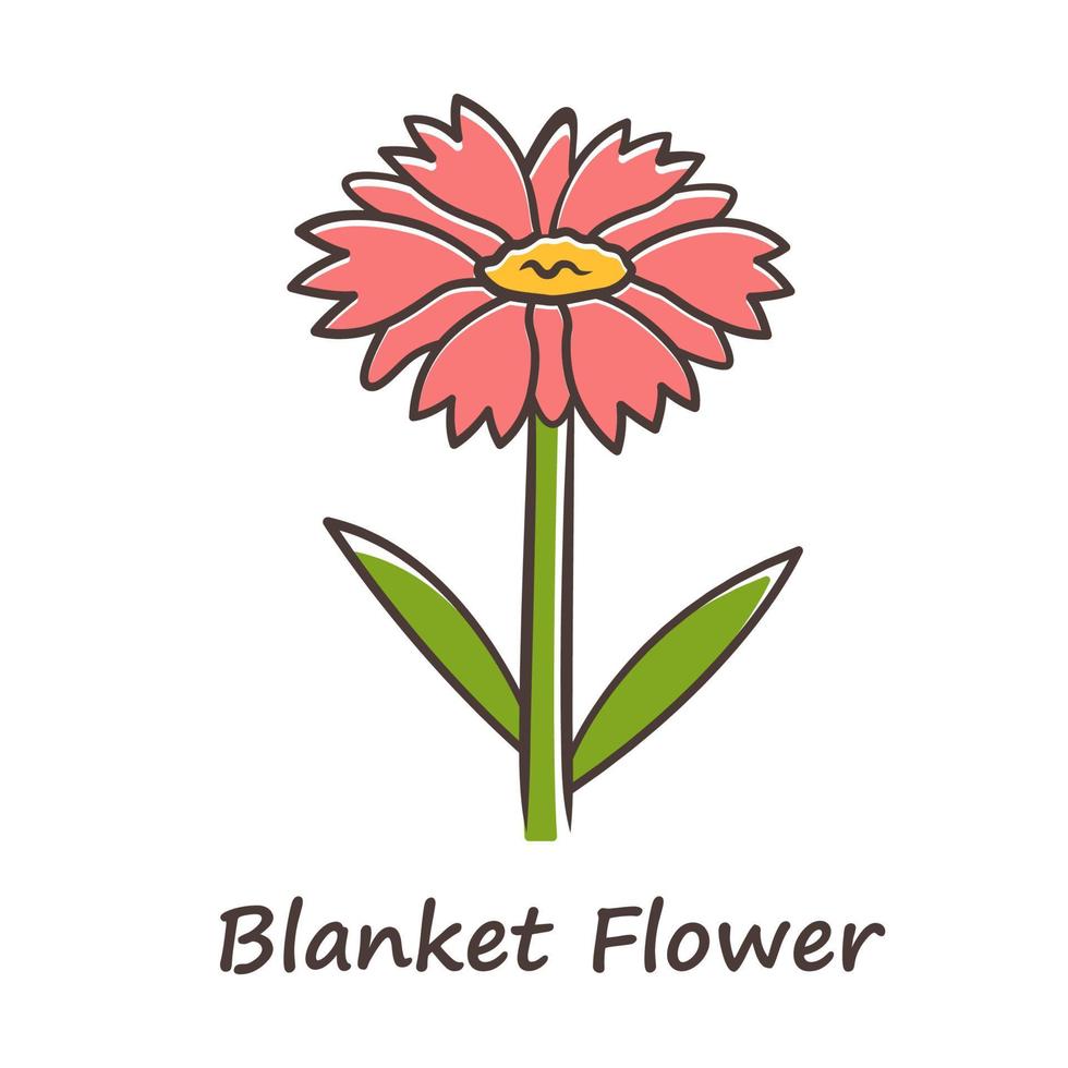 Blanket flower red color icon. Gaillardia aristata garden plant with name inscription. Arizona apricot inflorescence. Blooming wildflower. Summer and spring blossom. Isolated vector illustration