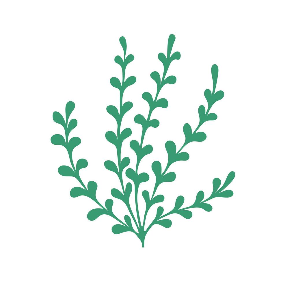 Sprig on a white background. Doodle. Isolated vector illustration with leaves. Leaves are a separate element. Hand drawing.