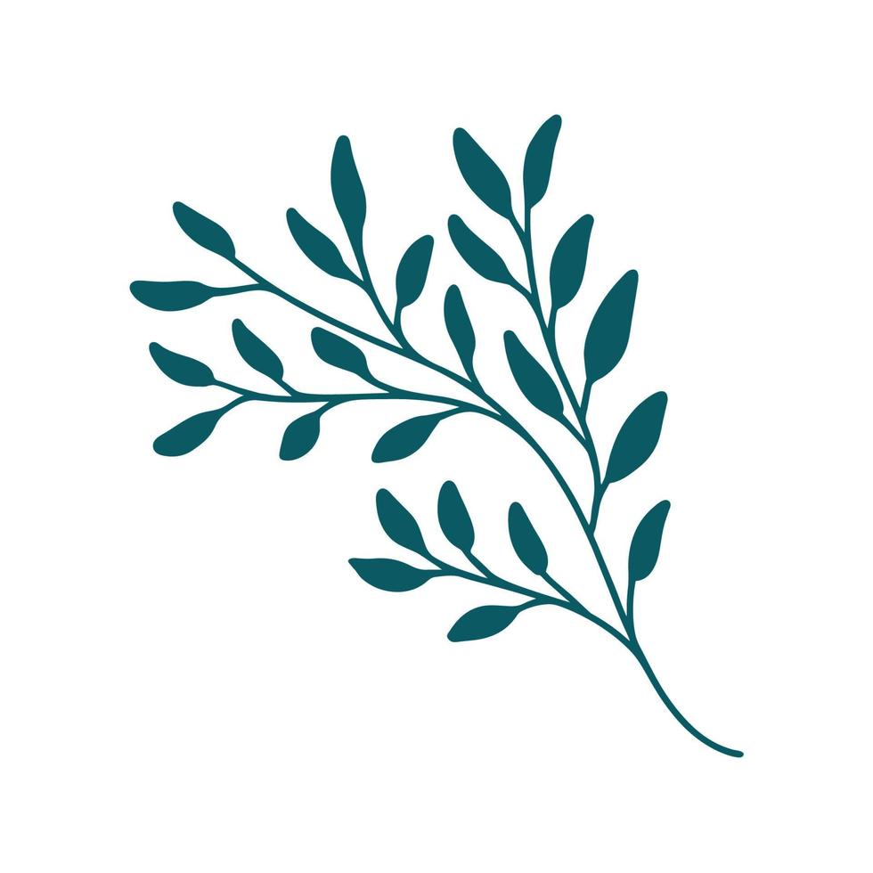 Sprig on a white background. Doodle. Isolated vector illustration with leaves. Leaves are a separate element. Hand drawing.