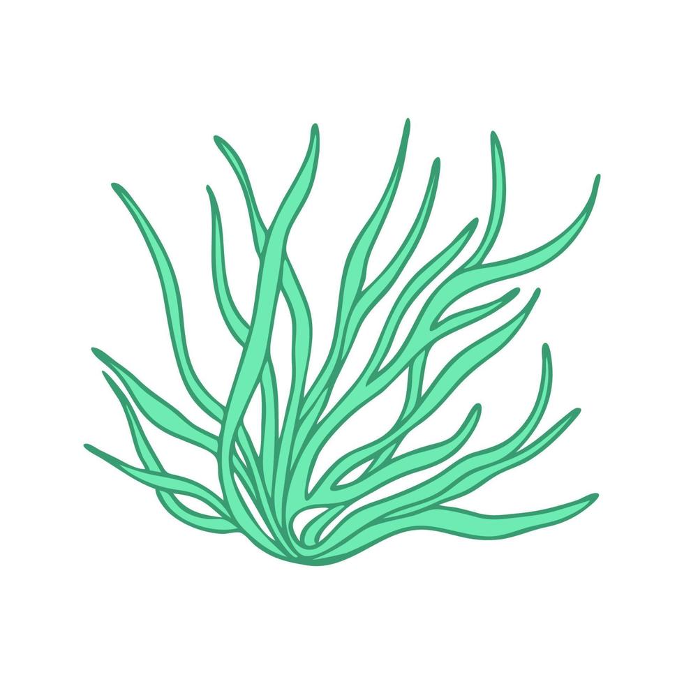 Seaweed on a white background. Nature doodle. Isolated vector illustration with green leaves. Leaves are a separate element.