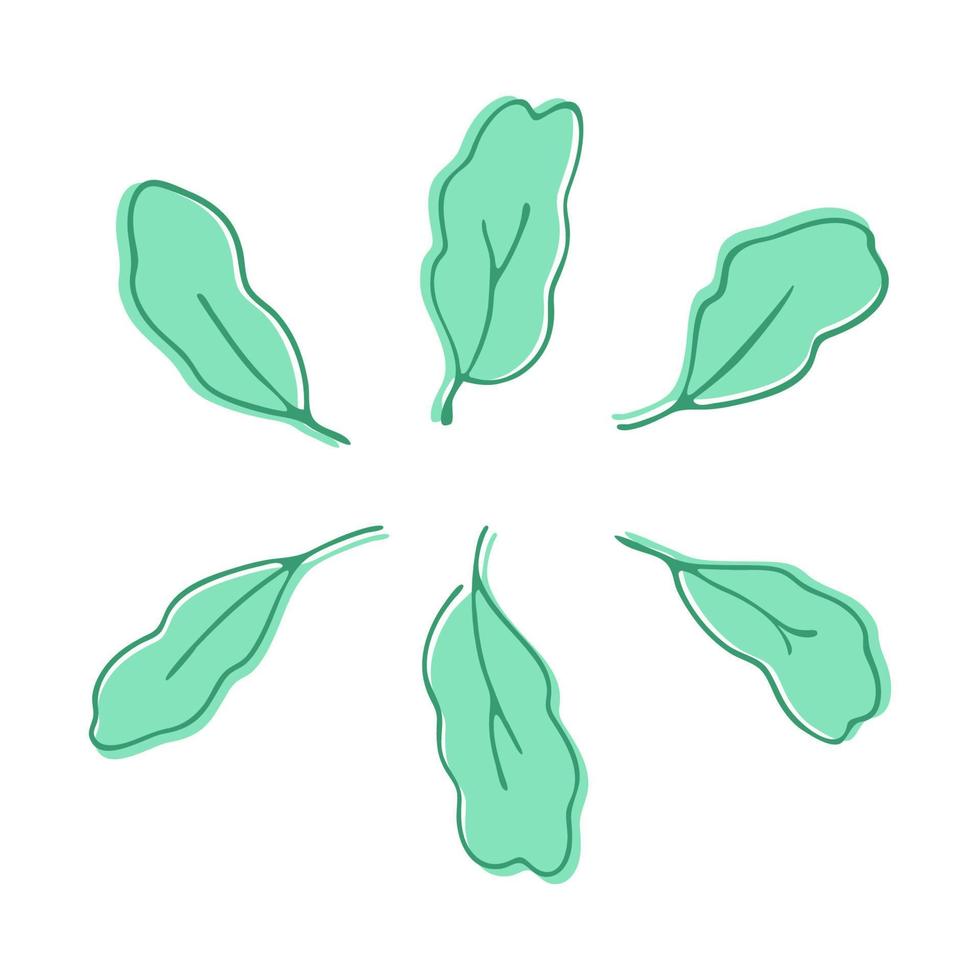 Set leaves on a white background. Nature doodle. Isolated vector illustration. Leaf are a separate element.