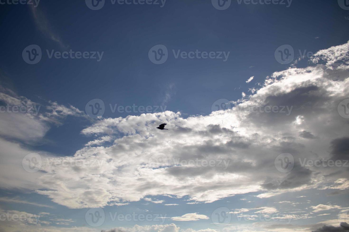 Summer blue sky cloud gradient light white background. Beauty clear cloudy in sunshine calm bright winter air bacground. Gloomy vivid cyan landscape in environment day horizon skyline view spring wind photo
