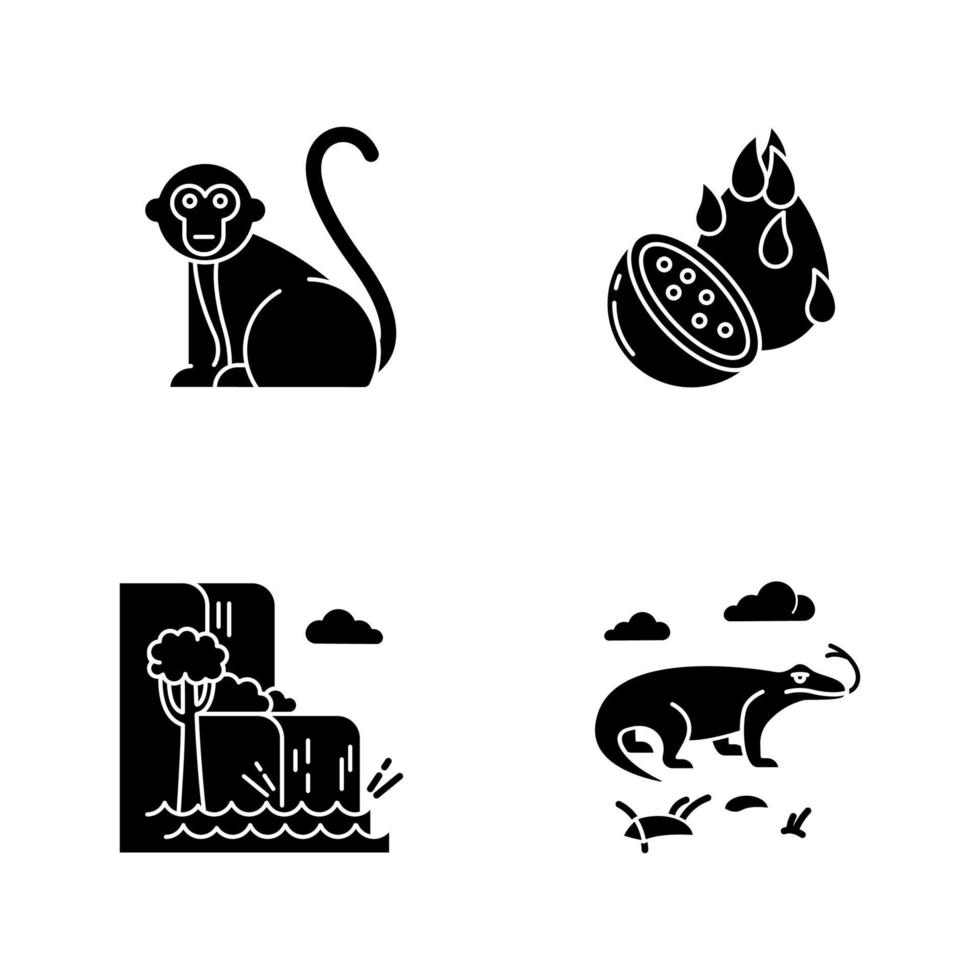 Indonesia glyph icons set. Tropical animals. Indonesian islands. Exploring exotic wildlife. Unique fruits and plants. Nature wonders and waterfalls. Silhouette symbols. Vector isolated illustration
