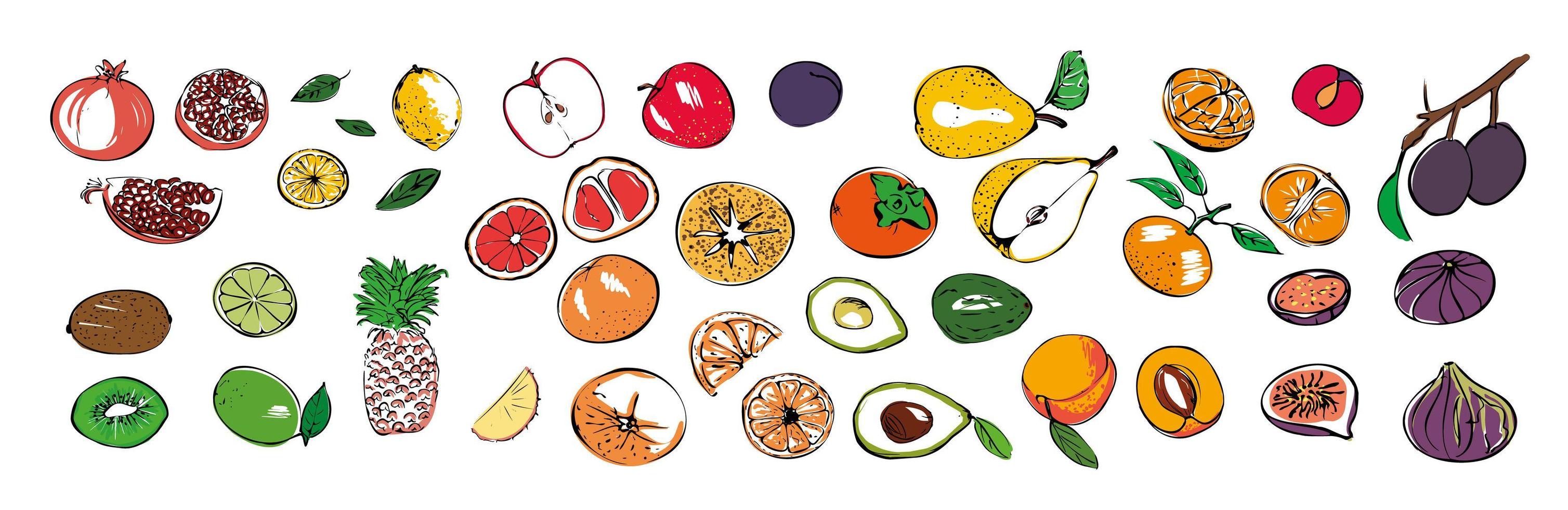 A set of different seasonal fruit icons on a white isolated background. vector