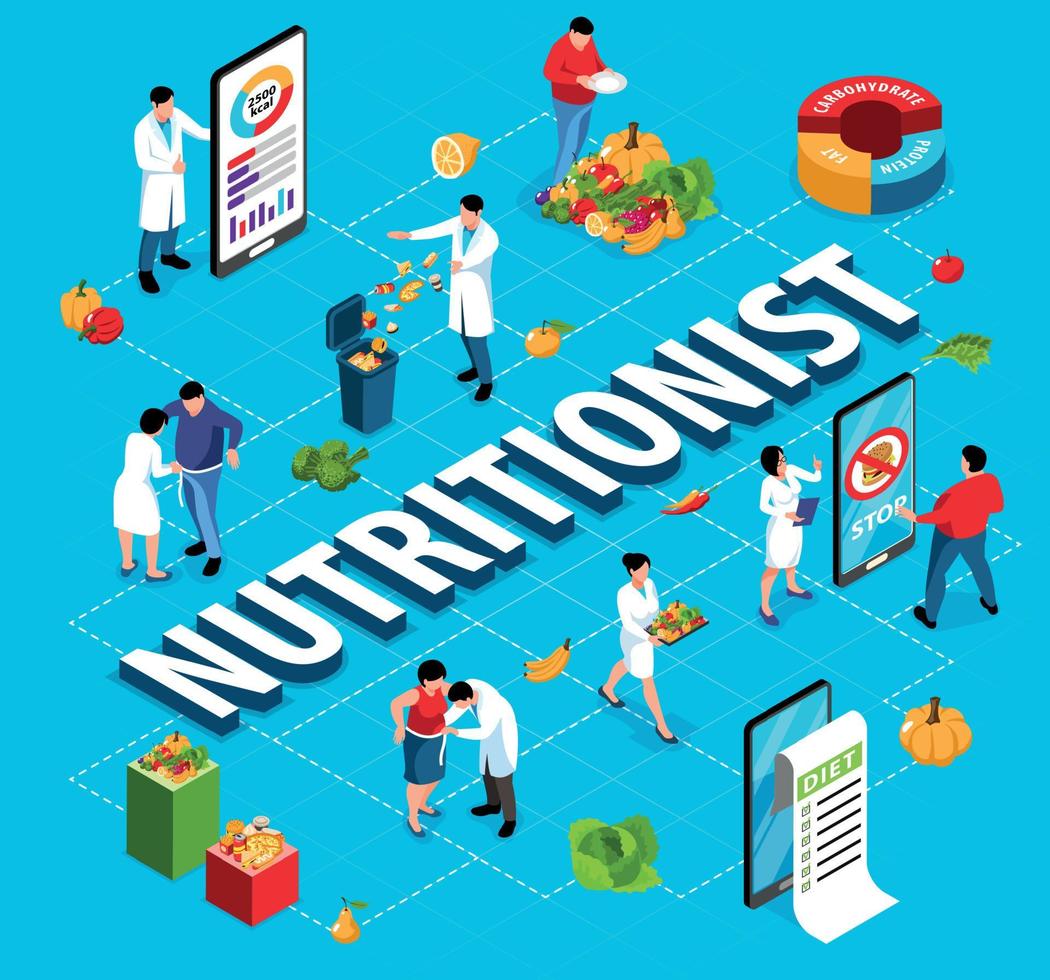 Nutritionist Isometric Flowchart vector