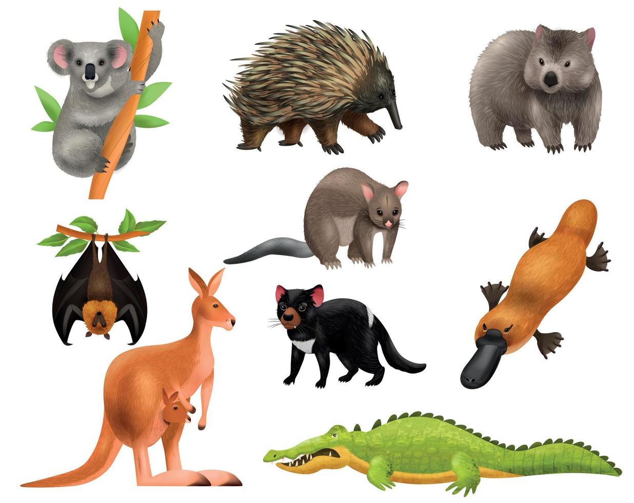 Australian Animals Icon Set vector
