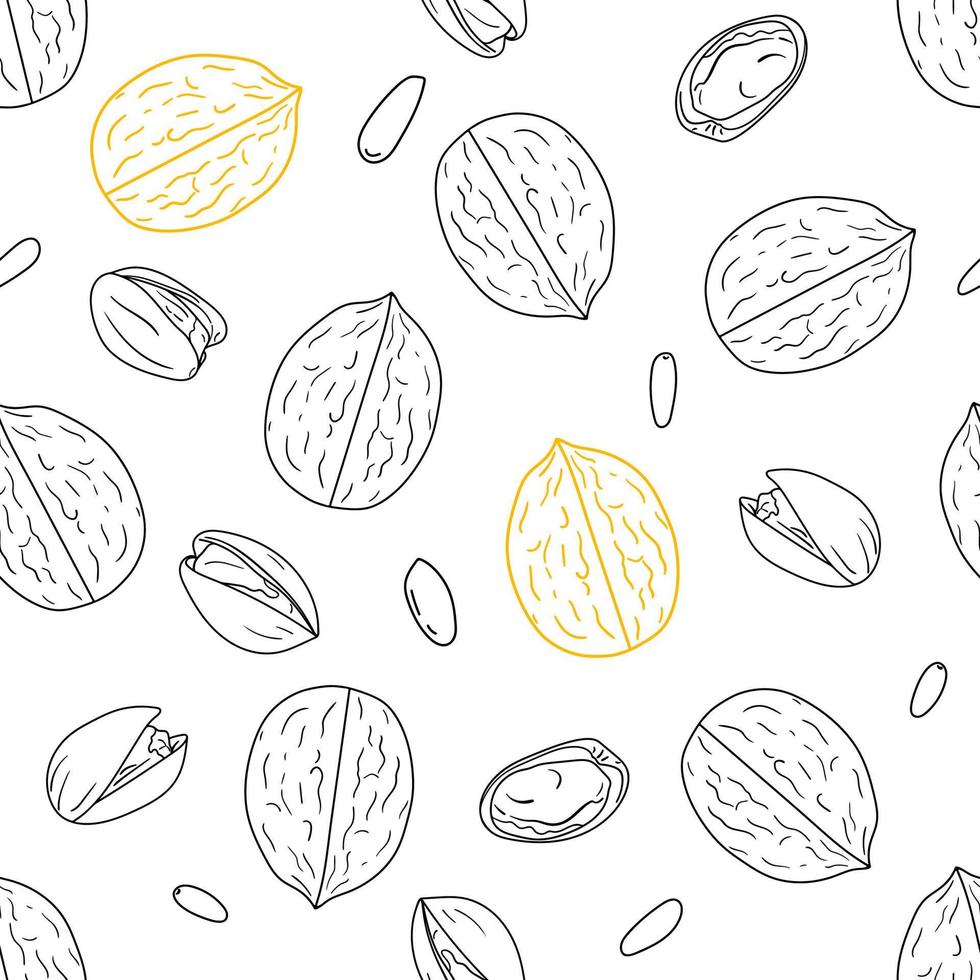 Seamless pattern with hand drawn nuts vector