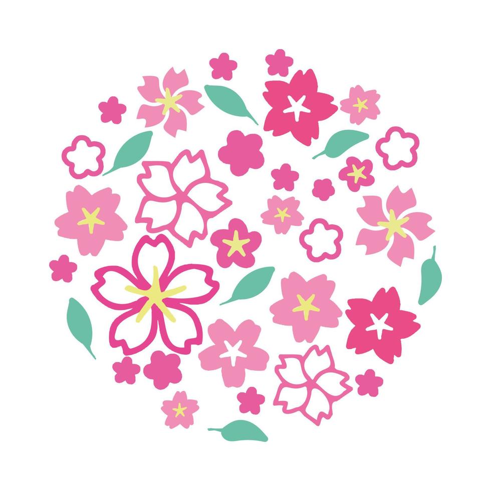 Sakura cherry flower blossom vector