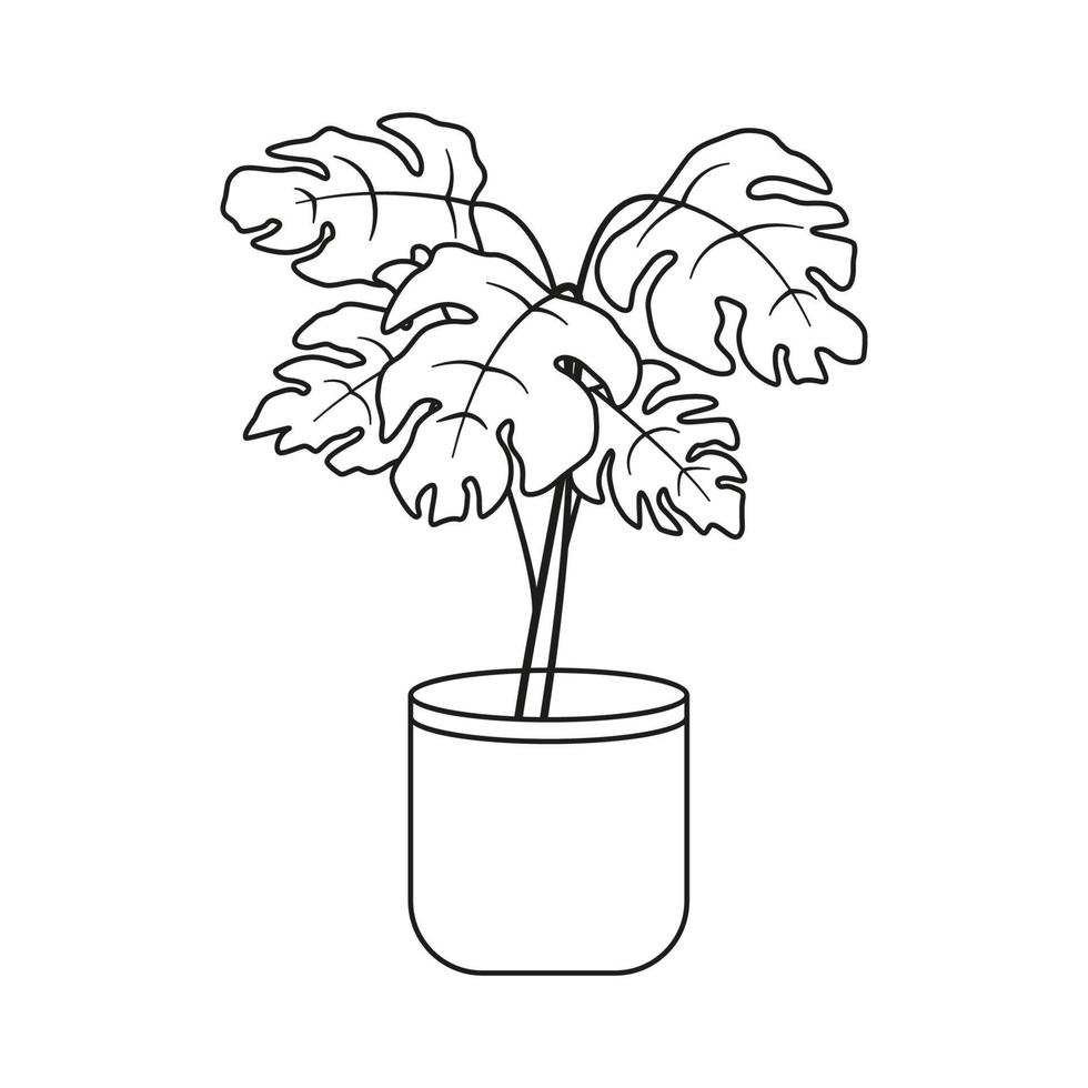 Monstera flower in a pot. Potted plant in black and white line drawing style. Vector illustration isolated on white background