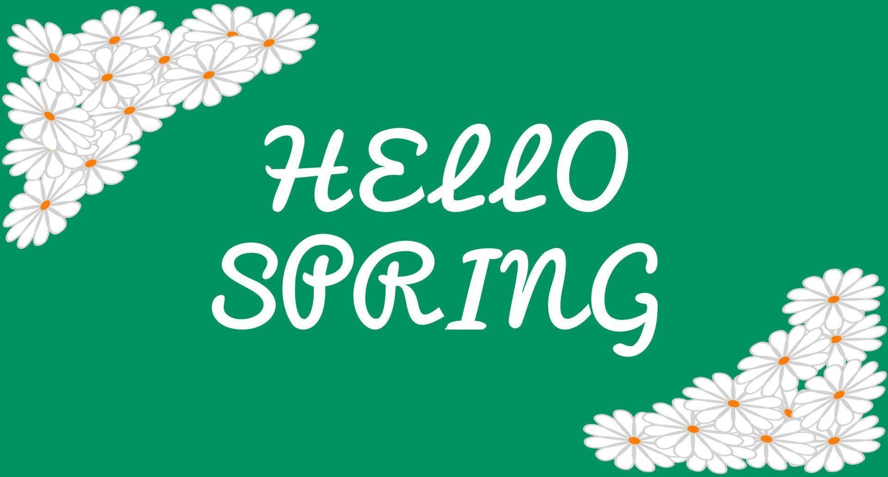 Hello spring banner design with white flowers vector illustration