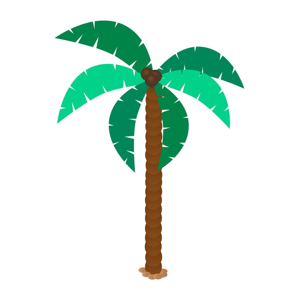 Palmera con ilustración de vector de cocos