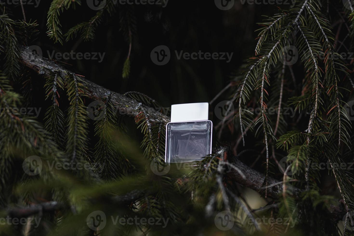 Bottle of cologne in pine needles. photo